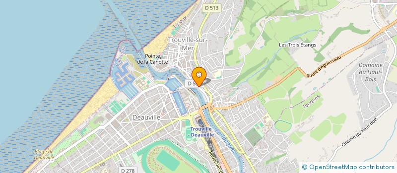 localisation de l'entreprise PEDJO  TROUVILLE-SUR-MER