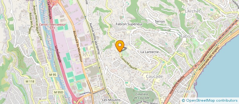 localisation de l'entreprise PEGASE à NICE
