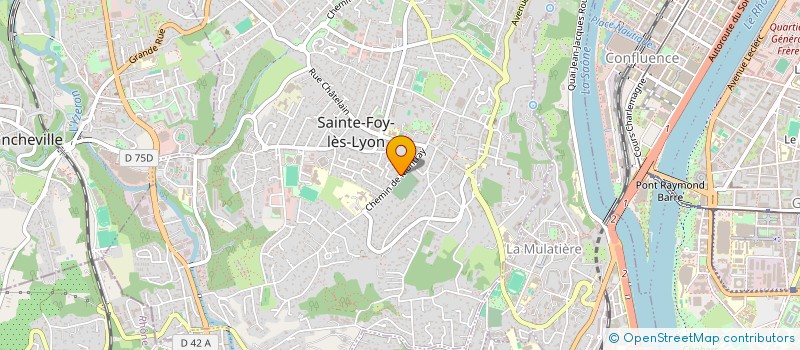 localisation de l'entreprise PEINTRES FIDESIENS à SAINTE-FOY-LES-LYON