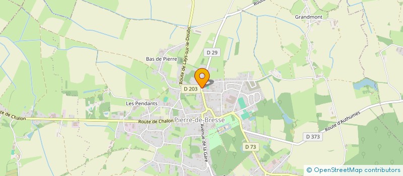 localisation de l'entreprise PEINTURE-ART PIERRE DE BRESSE à PIERRE-DE-BRESSE