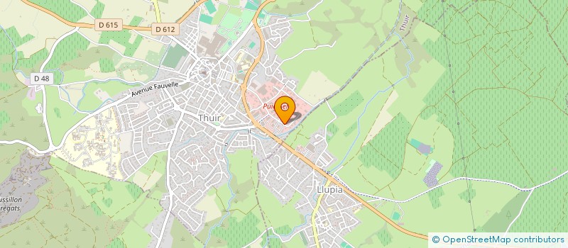 localisation de l'entreprise PEINTURES SADOK ET FILS  THUIR