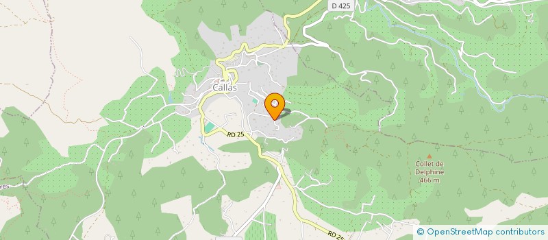 localisation de l'entreprise PELINCHES 36  CALLAS