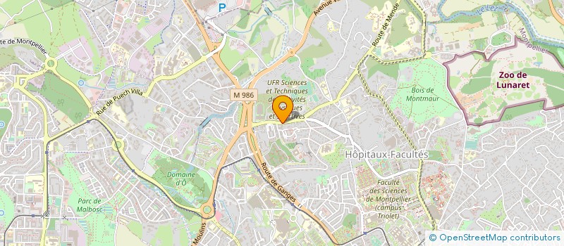 localisation de l'entreprise PELO BLANCO à MARSEILLE