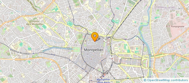 localisation de l'entreprise PENG PENG TEA à MONTPELLIER