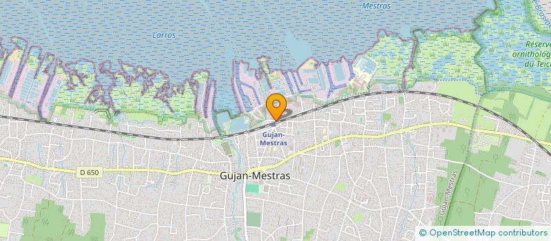 localisation de l'entreprise PENSION DE FAMILLE  LE RICHELIEU  GUJAN-MESTRAS