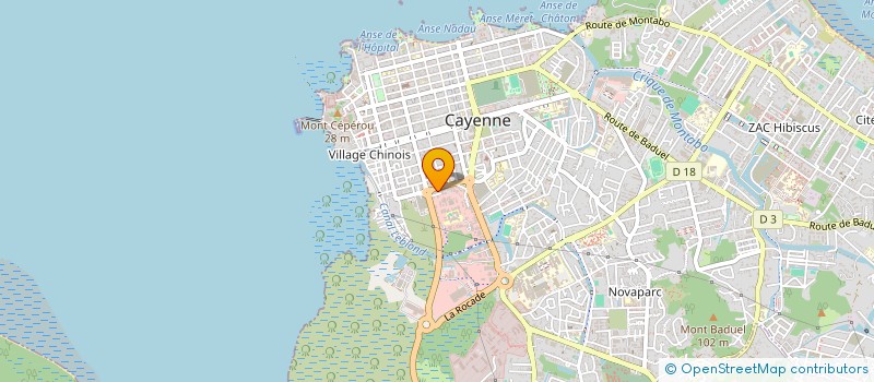 localisation de l'entreprise PENSTEMON  CAYENNE