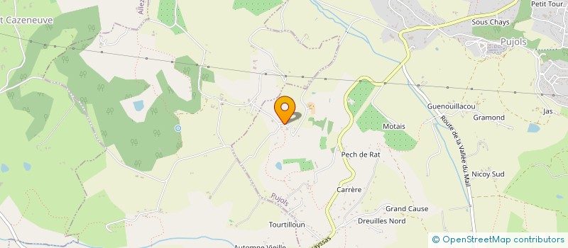 localisation de l'entreprise PEP'S -  PARENTS D'ELEVES DE PUJOLS ' SOLIDAIRES  PUJOLS