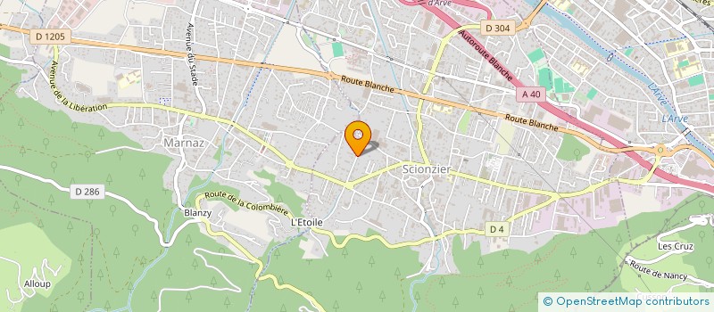 localisation de l'entreprise PEPIN FRERES USINAGE NUMERIQUE à SCIONZIER