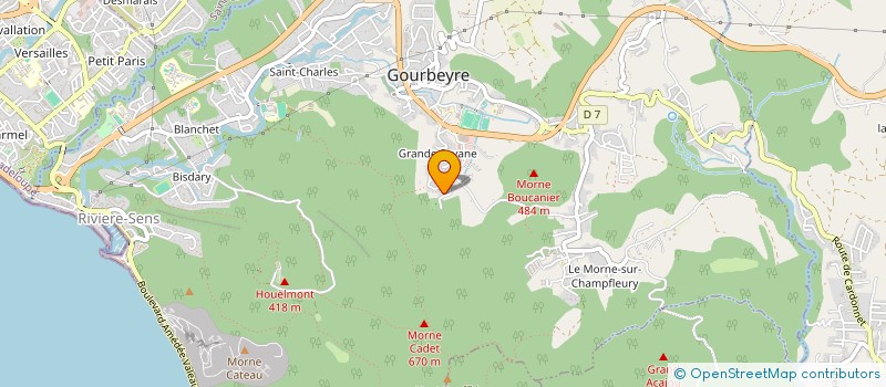 localisation de l'entreprise PEPINIERE DU ROBERT à GOURBEYRE
