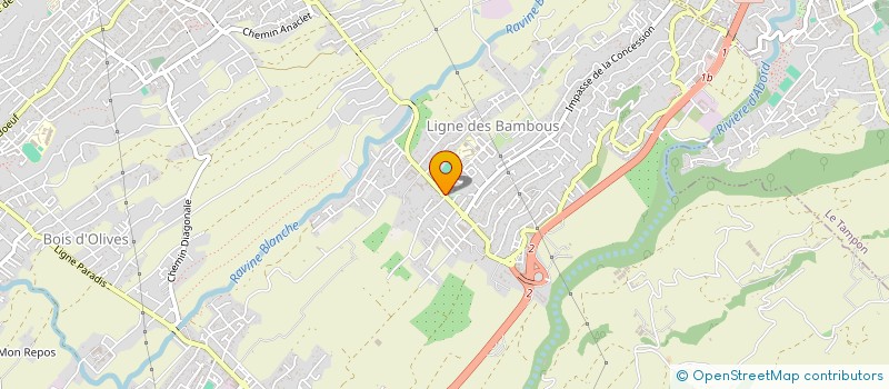 localisation de l'entreprise PEPINIERE TAILAME à SAINT-PIERRE
