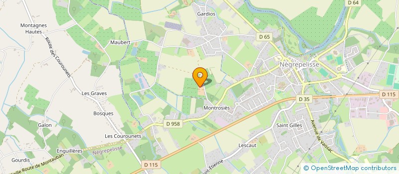 localisation de l'entreprise PEPINIERES RONCHINI à NEGREPELISSE