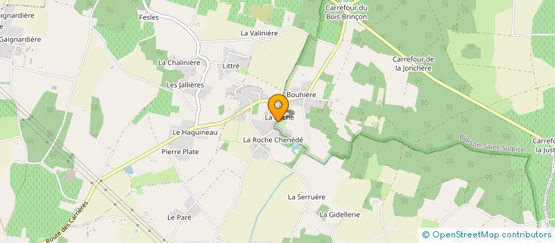 localisation de l'entreprise PEPITE PEP'S  BLAISON-SAINT-SULPICE