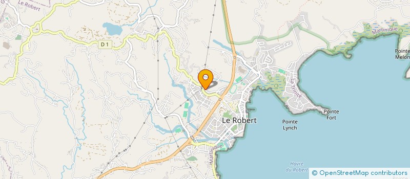 localisation de l'entreprise PEPITES SERVICES  LE ROBERT
