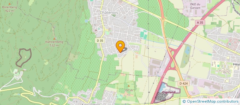 localisation de l'entreprise PEPPERMINT SOLUTIONS  CHATENOIS