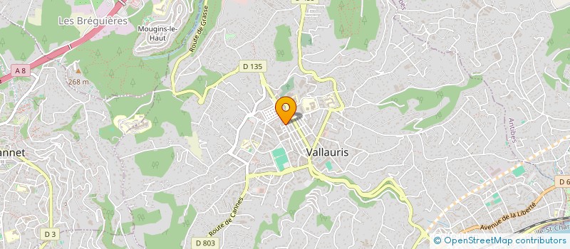 localisation de l'entreprise PERFORMANCE YACHT SERVICE SARL  VALLAURIS