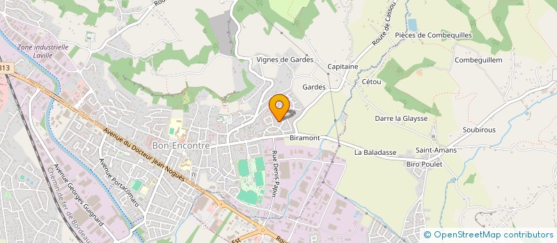 localisation de l'entreprise PETANQUE DES BLEUETS BON ENCONTRE  BON-ENCONTRE