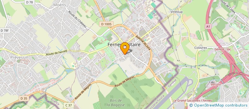 localisation de l'entreprise PETANQUE LE PATRIARCHE à FERNEY-VOLTAIRE