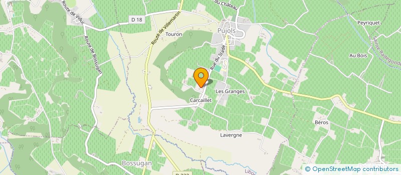 localisation de l'entreprise PETANQUE LOISIR PUJOLAISE  PUJOLS