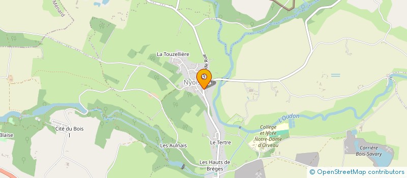 localisation de l'entreprise PETANQUE NYOISIENNE à SEGRE-EN-ANJOU BLEU