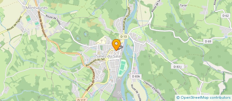 localisation de l'entreprise PETANQUE SALISIENNE  SALIES-DU-SALAT