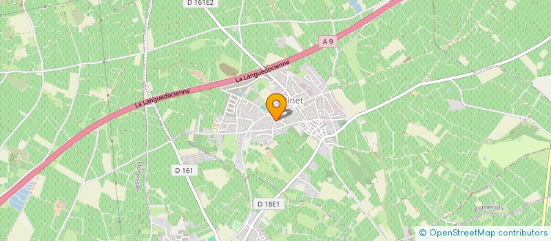 localisation de l'entreprise PETIT ROUBIE à PINET
