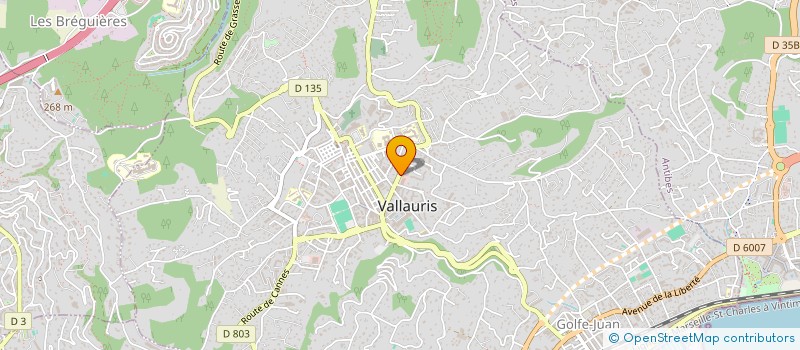 localisation de l'entreprise PETITE VENISE à VALLAURIS