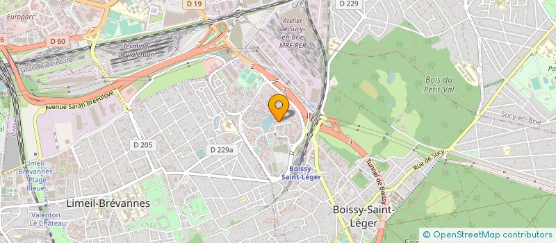 localisation de l'entreprise PETITS FELINS SANS LOGIS à BOISSY-SAINT-LEGER
