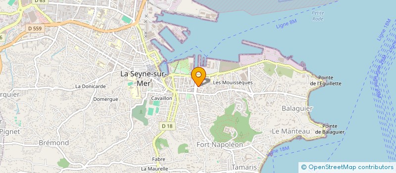 localisation de l'entreprise PETITS PAS DES ANGES à LA SEYNE-SUR-MER
