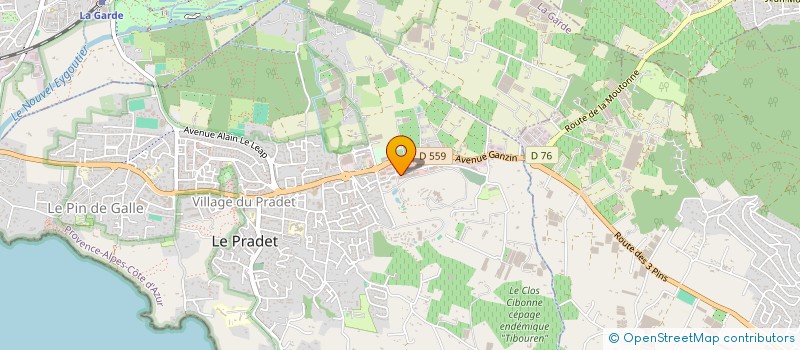 localisation de l'entreprise PETROLEUSES EDITIONS  LE PRADET