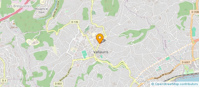 localisation de l'entreprise PETULLA NETTOYAGE à VALLAURIS