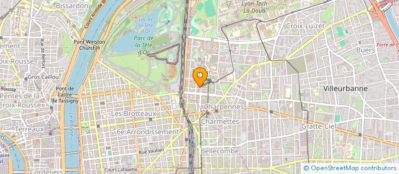 localisation de l'entreprise PEUPLES SANS FRONTIERES  VILLEURBANNE