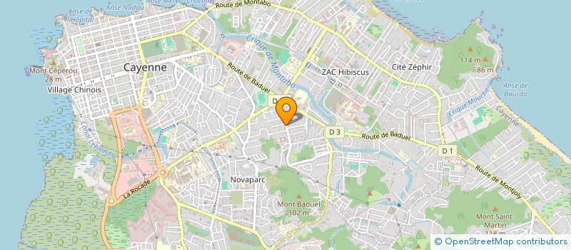 localisation de l'entreprise PEZZED INVEST  CAYENNE