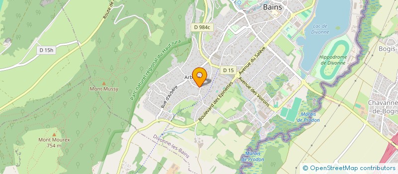 localisation de l'entreprise PFINGEST à DIVONNE-LES-BAINS