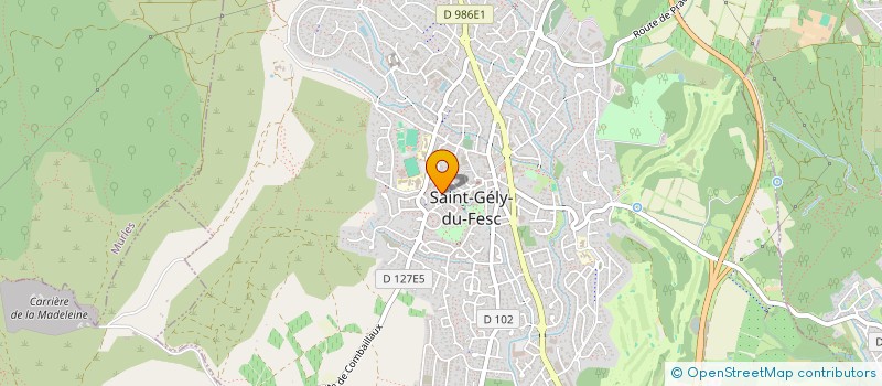 localisation de l'entreprise PGFS INVESTISSEMENT à SAINT-GELY-DU-FESC