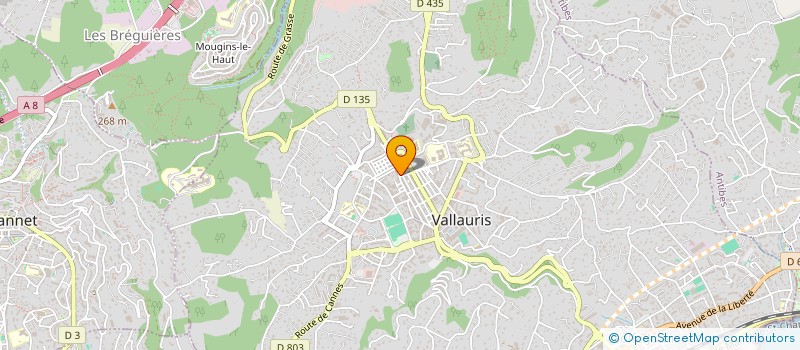 localisation de l'entreprise PHARMACIE CLEMENCEAU - ERIC FELBER à VALLAURIS