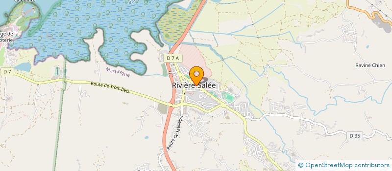 localisation de l'entreprise PHARMACIE DE L'ESPACE SUD  RIVIERE-SALEE