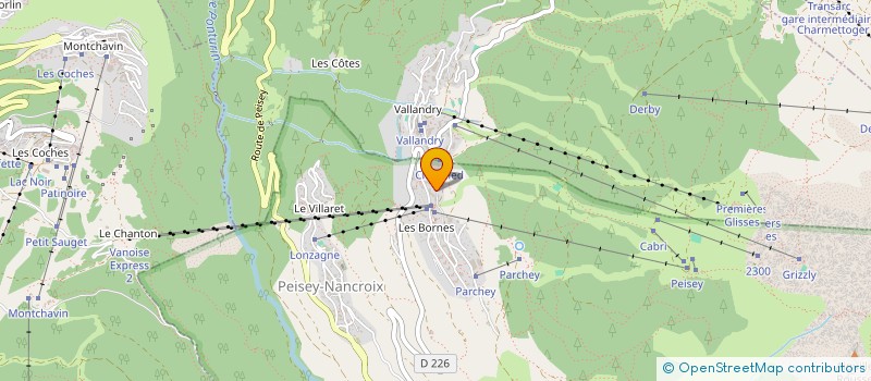 localisation de l'entreprise PHARMACIE DE L'OURS  PEISEY-NANCROIX