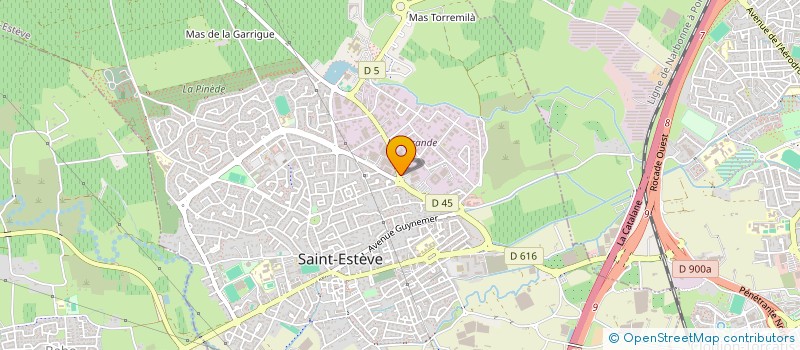 localisation de l'entreprise PHARMACIE DE LA MIRANDE SNC  SAINT-ESTEVE