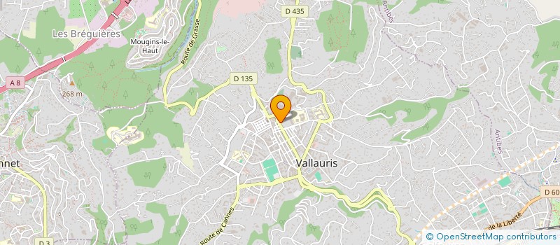 localisation de l'entreprise PHARMACIE DES ARTS à VALLAURIS