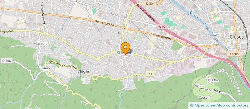 localisation de l'entreprise PHARMACIE DU FORON  SCIONZIER