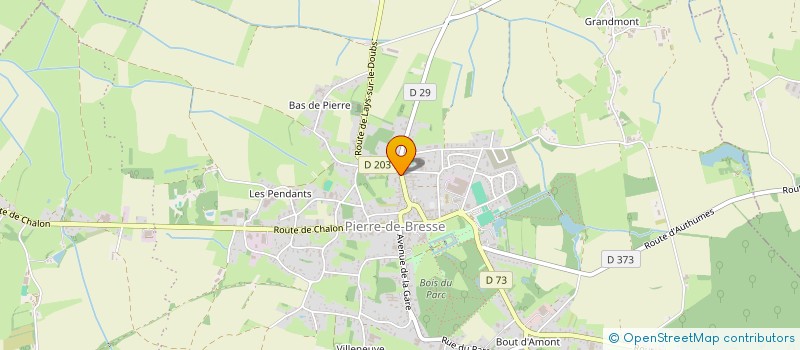 localisation de l'entreprise PHARMACIE DU VIEUX MARCHE  PIERRE-DE-BRESSE