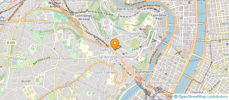 localisation de l'entreprise PHARMACIE RICHARD-GIROUD à LYON
