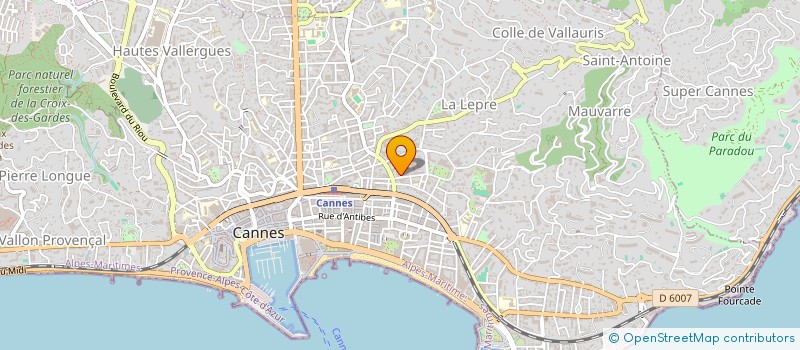 localisation de l'entreprise PHENIX LIMOUSINES à CANNES