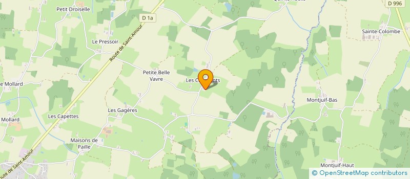 localisation de l'entreprise PHENIX TRANSPORT 01  FOISSIAT