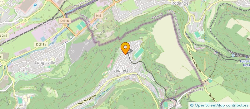 localisation de l'entreprise PHOTO CLUB SAULNES  SAULNES