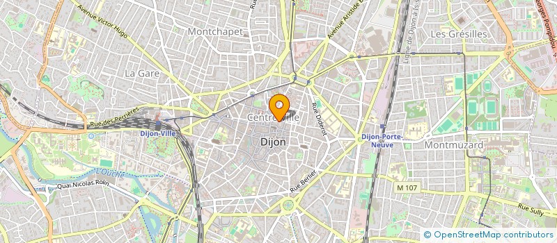 localisation de l'entreprise PHOTOS VERTES POUR PLANETE BLEUE  DIJON