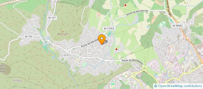 localisation de l'entreprise PHYTOPSY  GRABELS