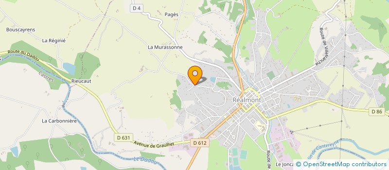 localisation de l'entreprise PIANOS D'OCCITANIE à REALMONT