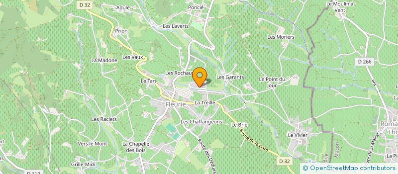 localisation de l'entreprise PICHOT INGENIERIE  FLEURIE