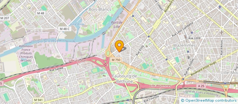 localisation de l'entreprise PICSTORM STUDIO à LILLE